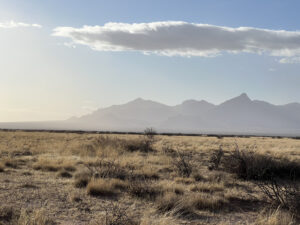 Persistent Real Estate Luna County, New Mexico Owner financing