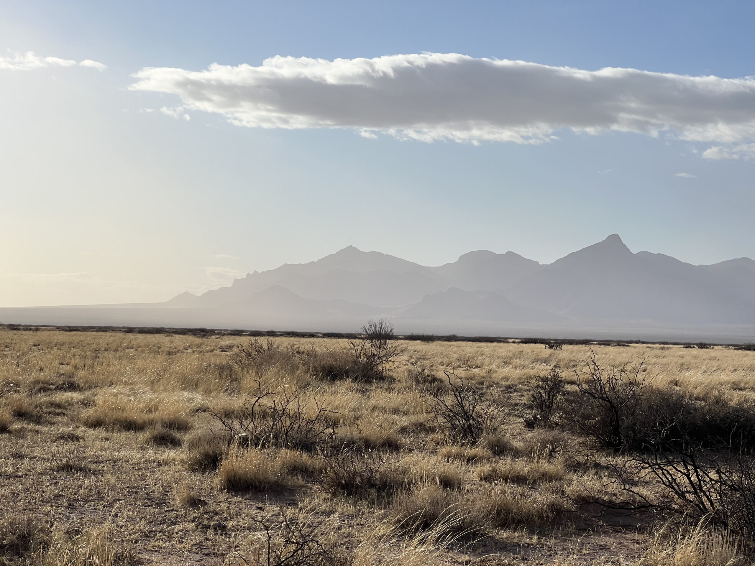 Persistent Real Estate Luna County, New Mexico Owner financing