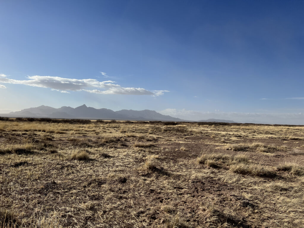 persistent real estate for sale vacant lot, vacant land, luna county, deming, new mexico