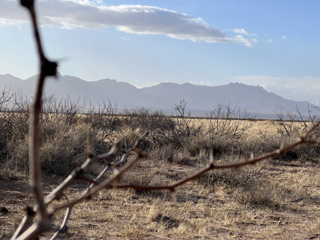 persistent real estate for sale vacant lot, vacant land, luna county, deming, new mexico