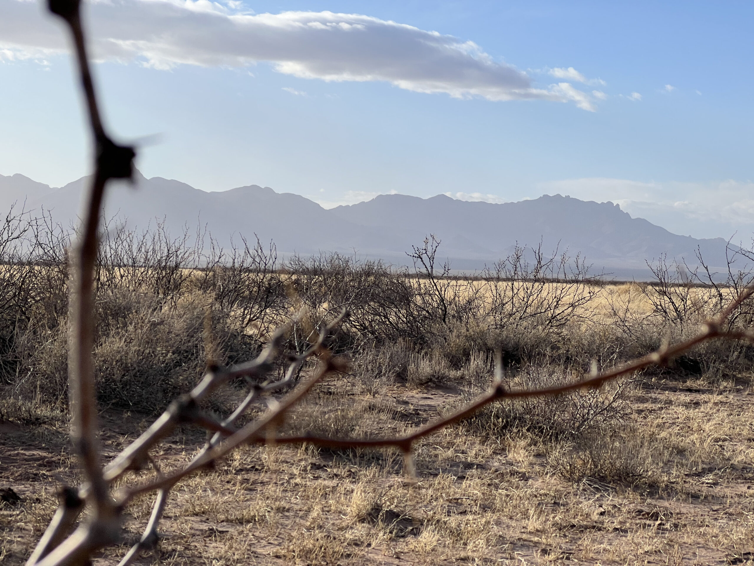 persistent real estate for sale vacant lot, vacant land, luna county, deming, new mexico