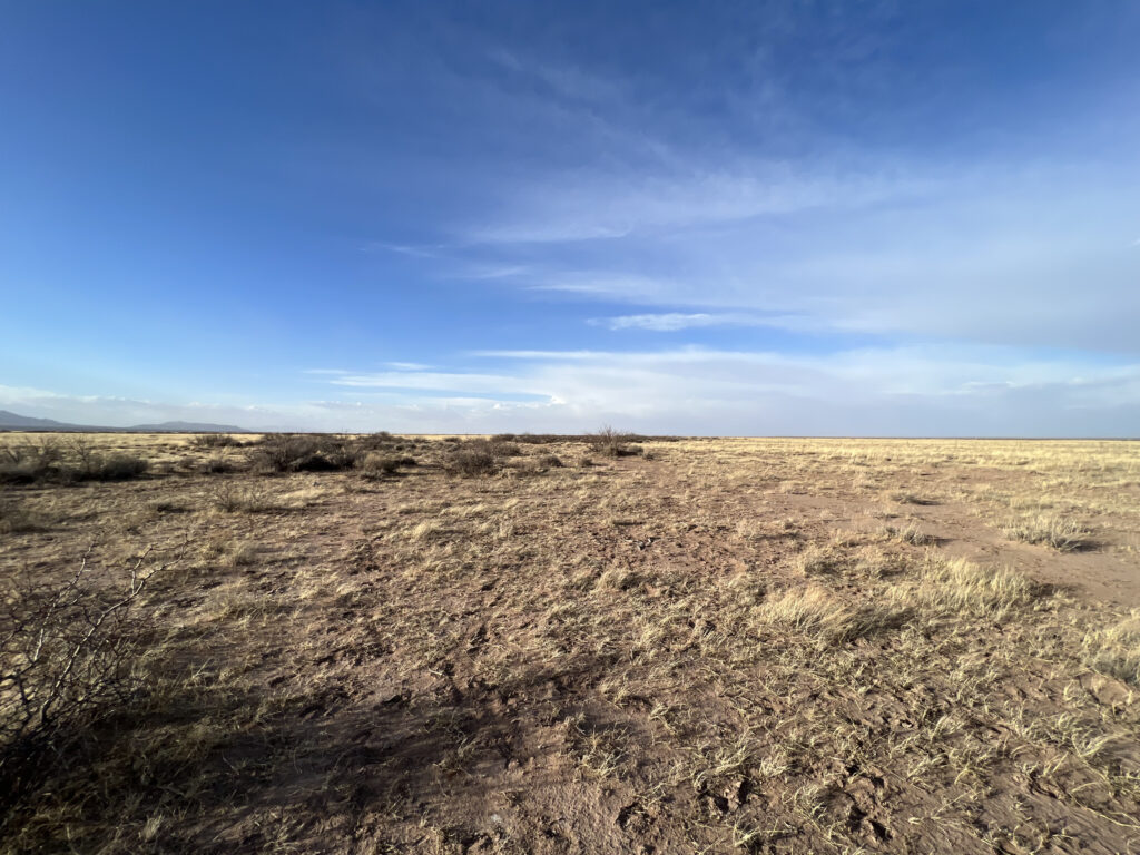persistent real estate for sale vacant lot, vacant land, luna county, deming, new mexico