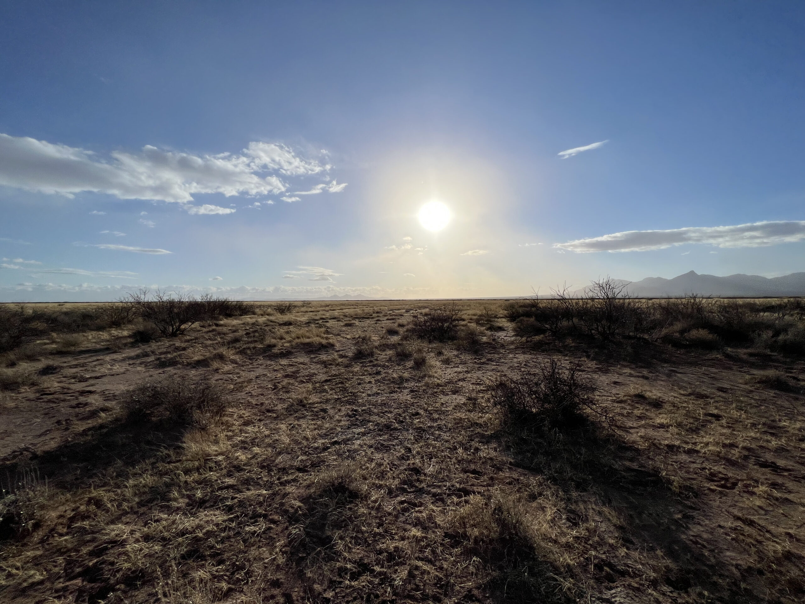 for sale deming luna county new mexico