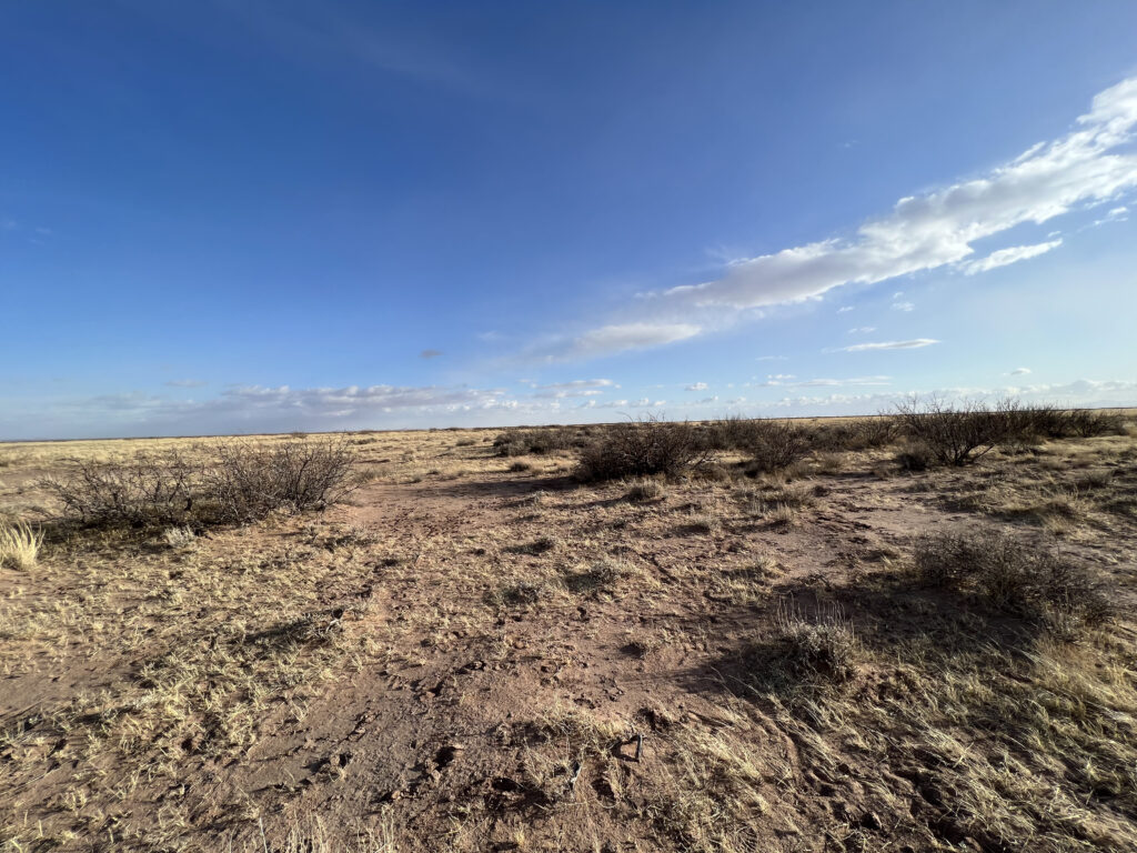 persistent real estate for sale vacant lot, vacant land, luna county, deming, new mexico