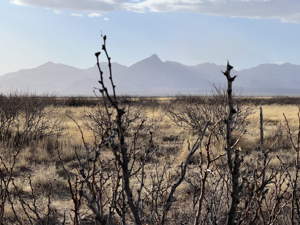 Luna County, New Mexico, unrestricted land vacant lot property