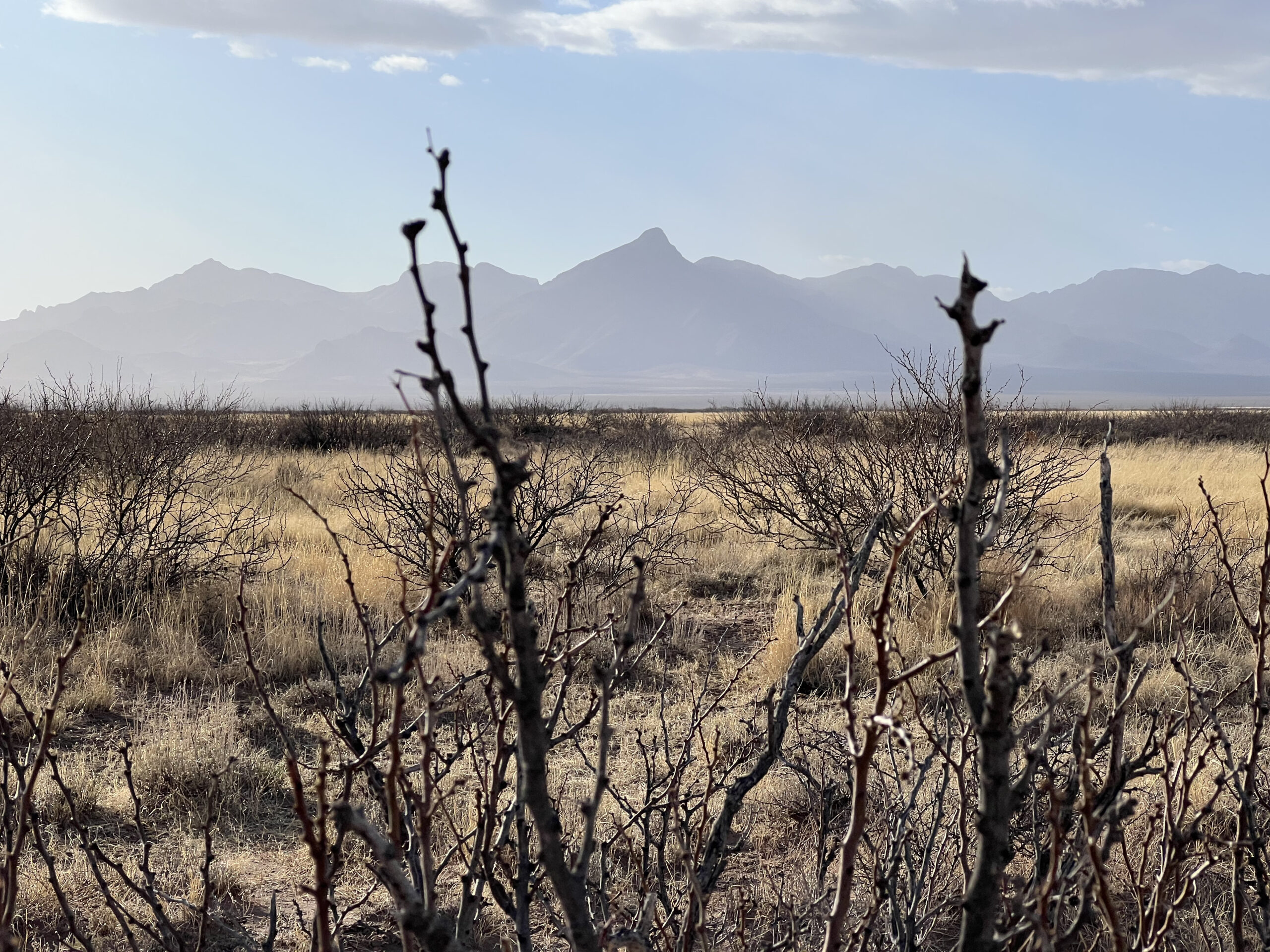 Luna County, New Mexico, unrestricted land vacant lot property