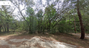 107 Circle Dr Interlachen, FL 32148