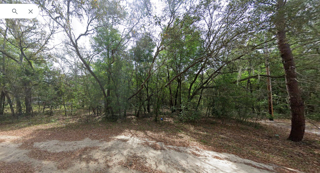 107 Circle Dr Interlachen, FL 32148